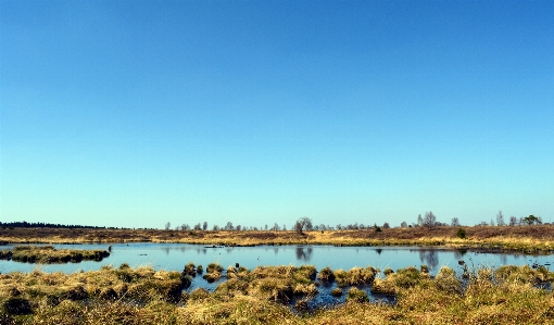 Landscape sea coast nature Photo