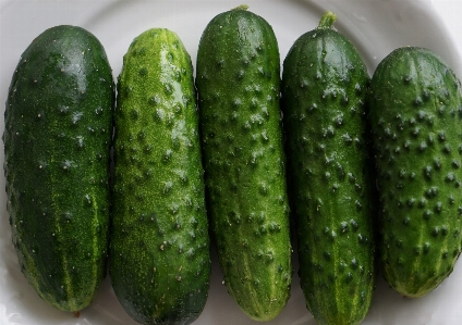 Foto Tanaman buah makanan hijau