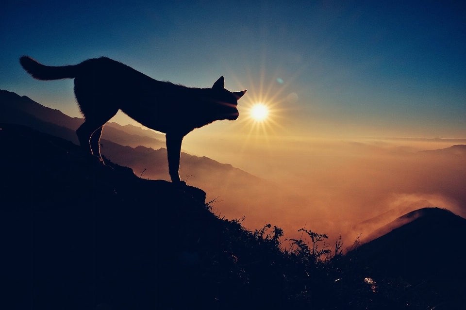 Cakrawala bayangan hitam gunung lampu