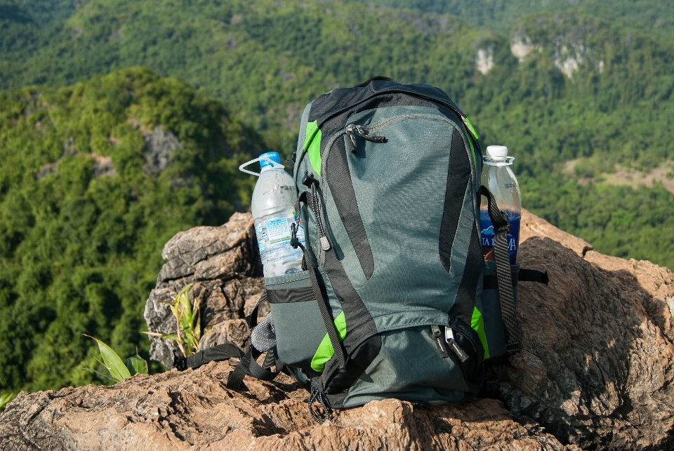 Nature forest walking mountain