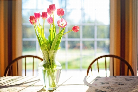 Anlage blume strauß vase Foto