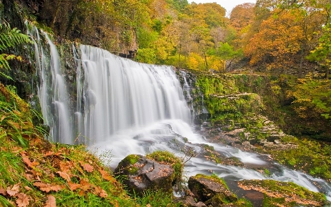 Wasser natur wald wasserfall Foto