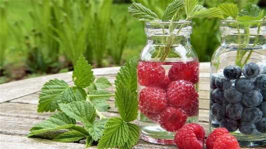 Water nature liquid plant Photo