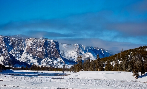 Landscape nature forest wilderness Photo