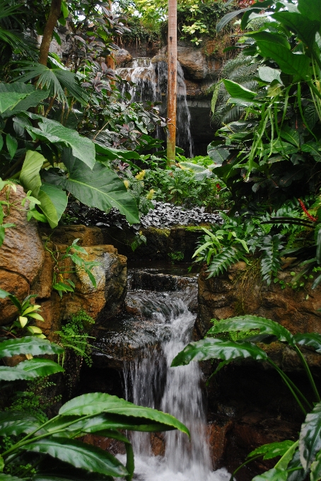 Paesaggio albero acqua natura