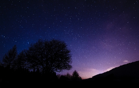 木 空 夜 星 写真