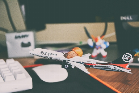 羽 飛行機 航空機 デスクトップ 写真