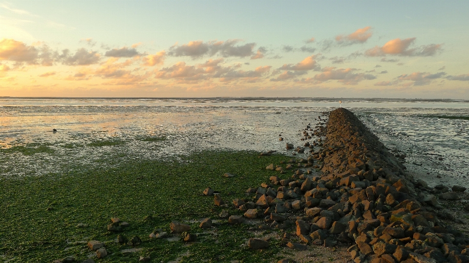 Plaża morze wybrzeże piasek