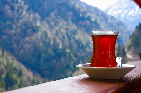 風景 自然 森 お茶 写真