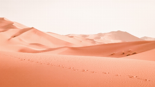 Landscape sand arid desert Photo