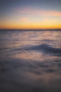 海滩 海 海岸 水 照片