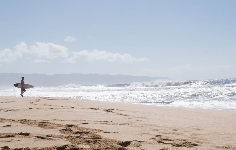 Beach sea coast sand