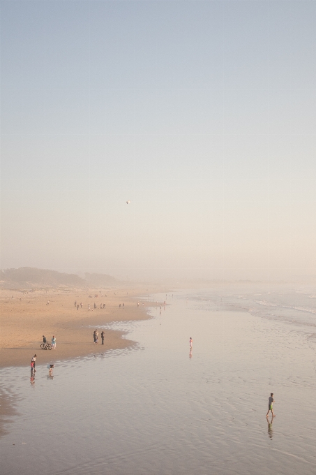 海滩 海 海岸 沙