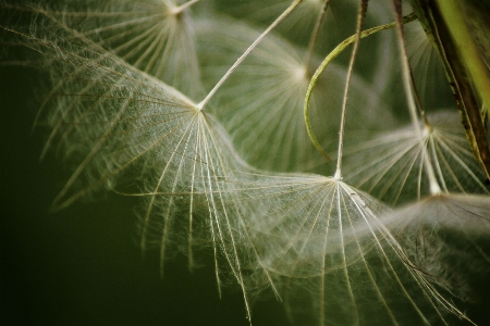 Tree water nature grass Photo