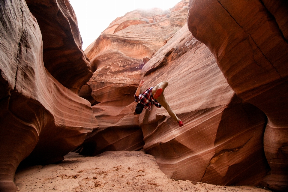 Rock wood formation canyon