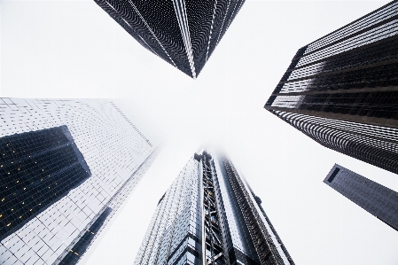 黒と白
 建築 超高層ビル ライン 写真