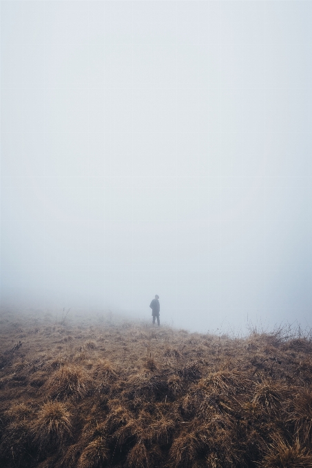 Sea nature horizon person