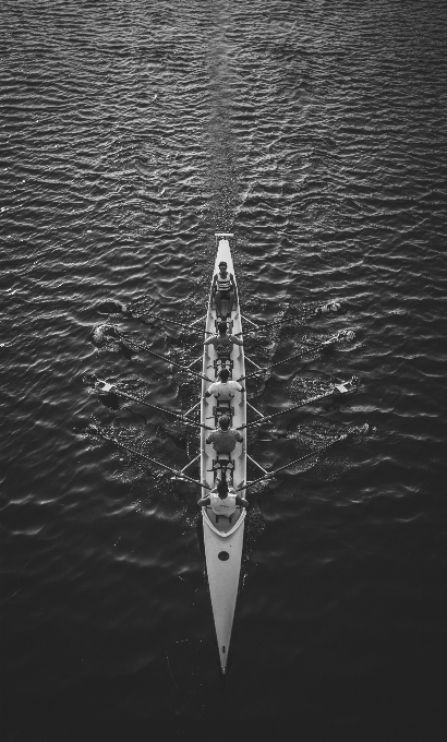 Aile noir et blanc
 bateau pagayer