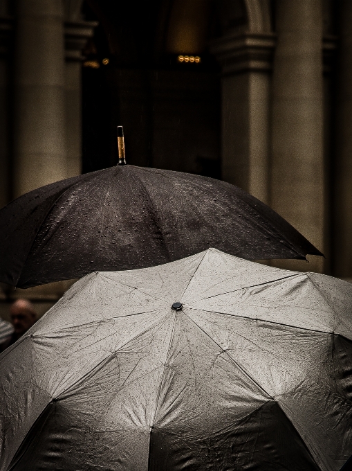 Licht schwarz und weiß
 regen regenschirm