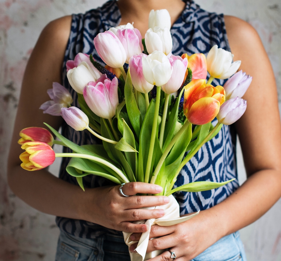 Personne usine tige fleur