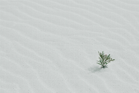 Foto Areia neve inverno branco