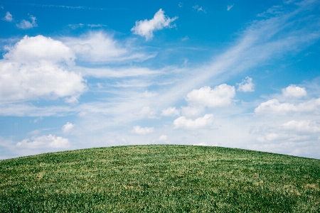 Landscape tree nature grass Photo