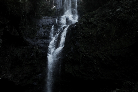 Foto Air alam hutan rock