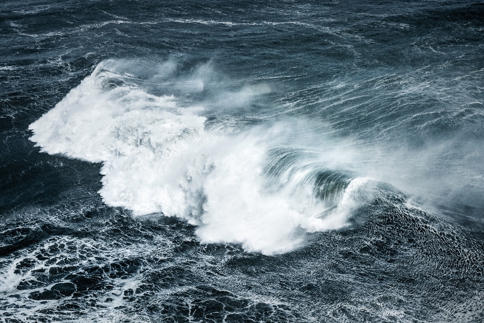 海 海岸 水 海洋