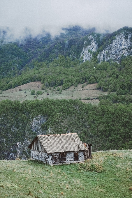 El değmemiş doğa
 dağ çiftlik tepe