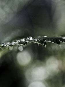 Photo Eau bifurquer rosée la photographie