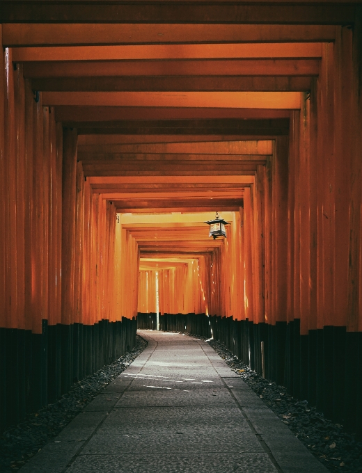 光 建筑学 木头 房子