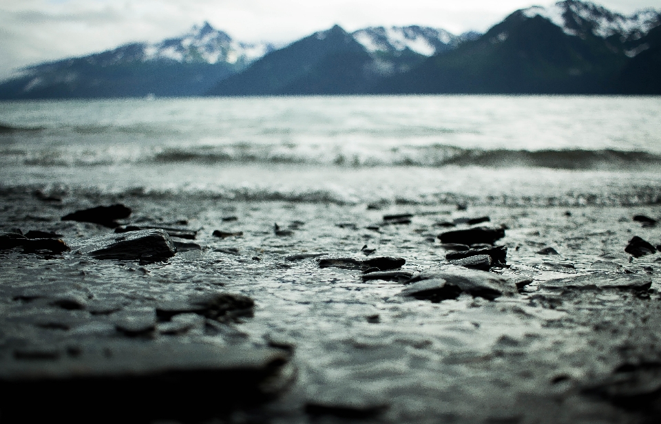 ビーチ 海 海岸 水