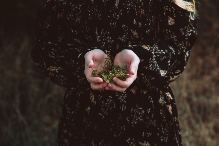 Tree girl woman photography Photo