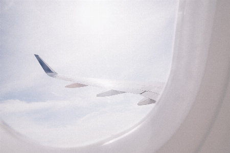 Wing white ceiling surfboard Photo