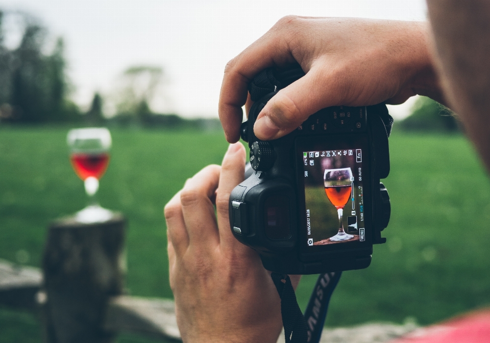 Hand fotografie grün rot