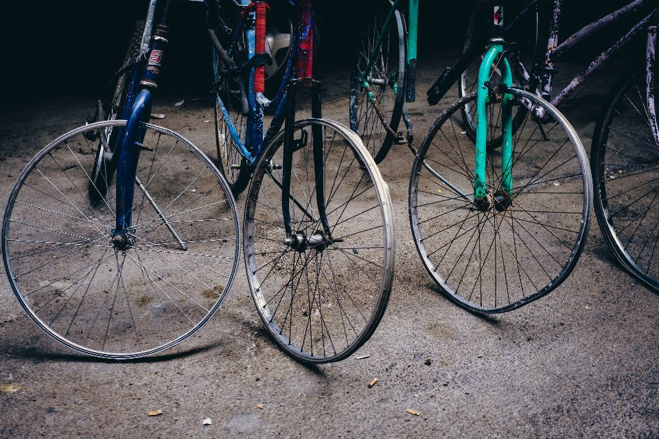 Roue vélo véhicule équipement sportif
