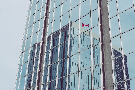 Architecture window building skyscraper Photo