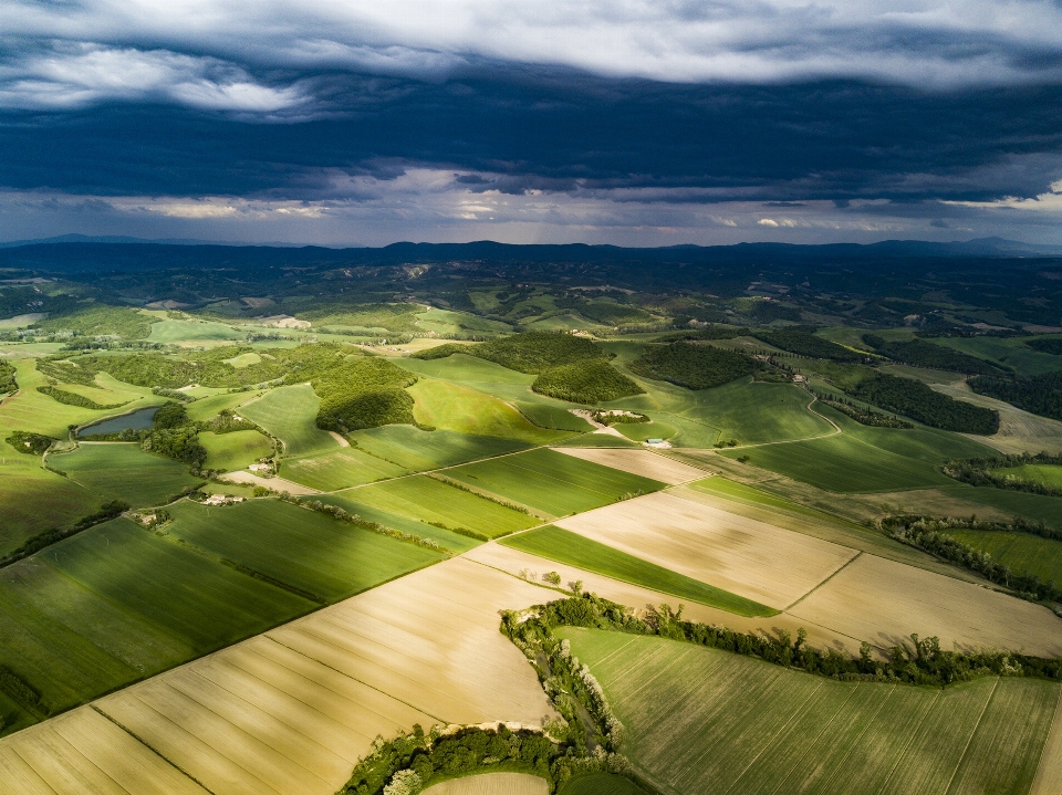 Paisaje césped horizonte montaña