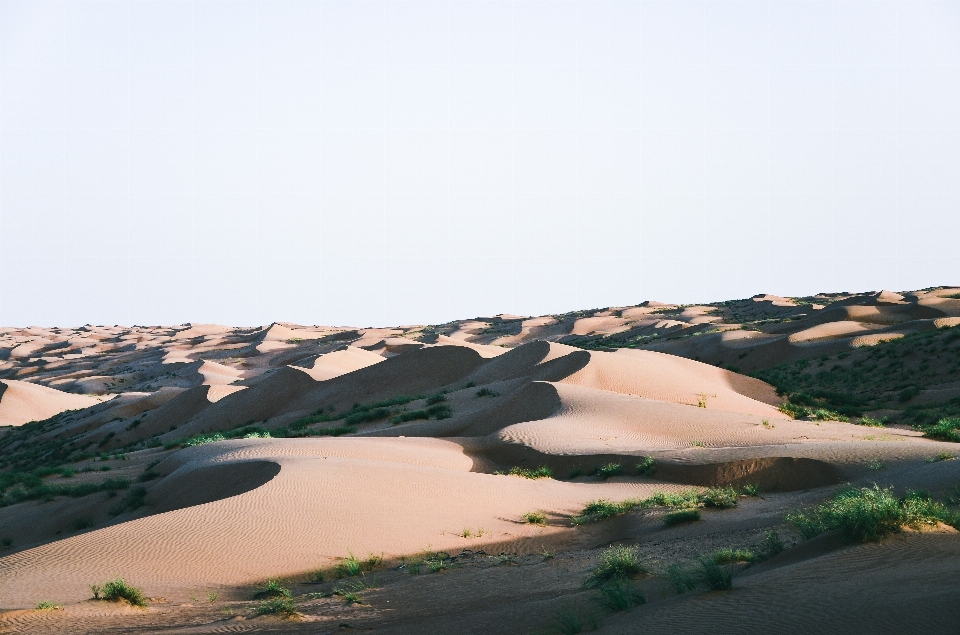 Landschaft meer küste sand