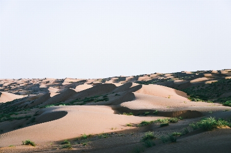 Landscape sea coast sand Photo