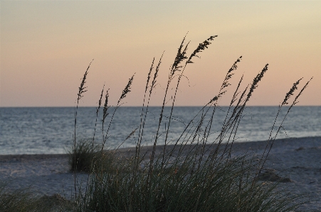 Strand meer küste wasser Foto