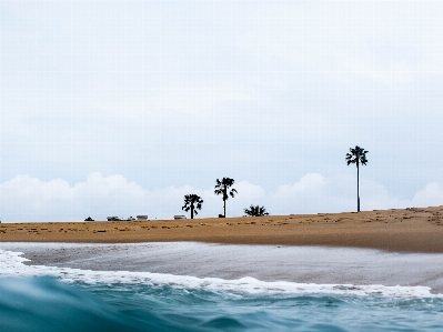 Beach sea coast sand Photo