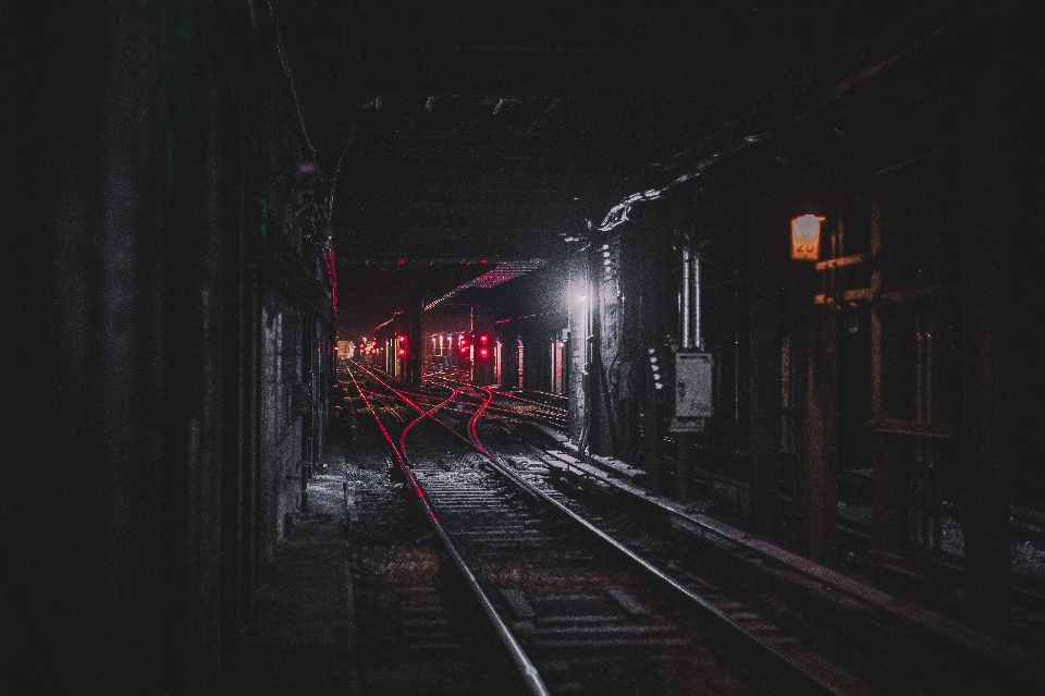 光 追踪 夜晚 城市的