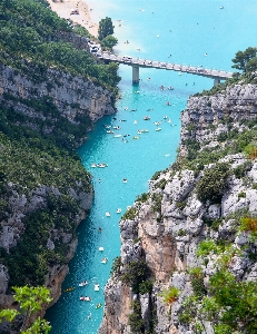 Sea coast flower lake Photo