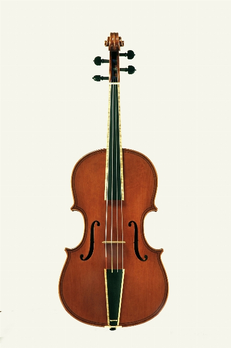 Gitara instrument muzyczny skrzypce ilustracja