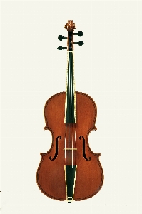 Guitar musical instrument violin illustration Photo