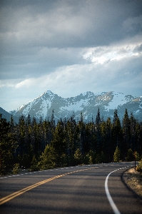 Landscape tree nature mountain Photo