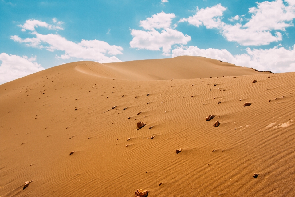 Landschaft sand trocken
 wüste