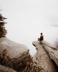 Sea nature rock wilderness Photo