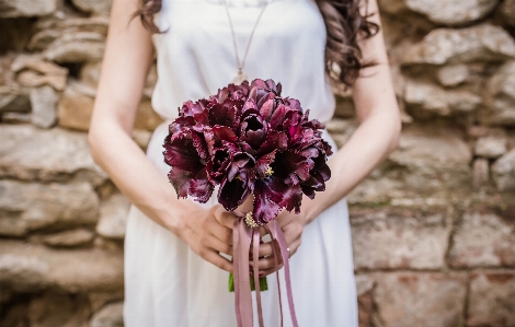 植物 女性 写真撮影 花 写真